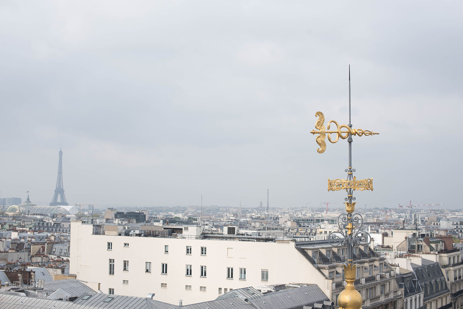 Rooftops of Paris and the Eiffel Tower, captured by travel blogger Cee Fardoe of Coco & Vera