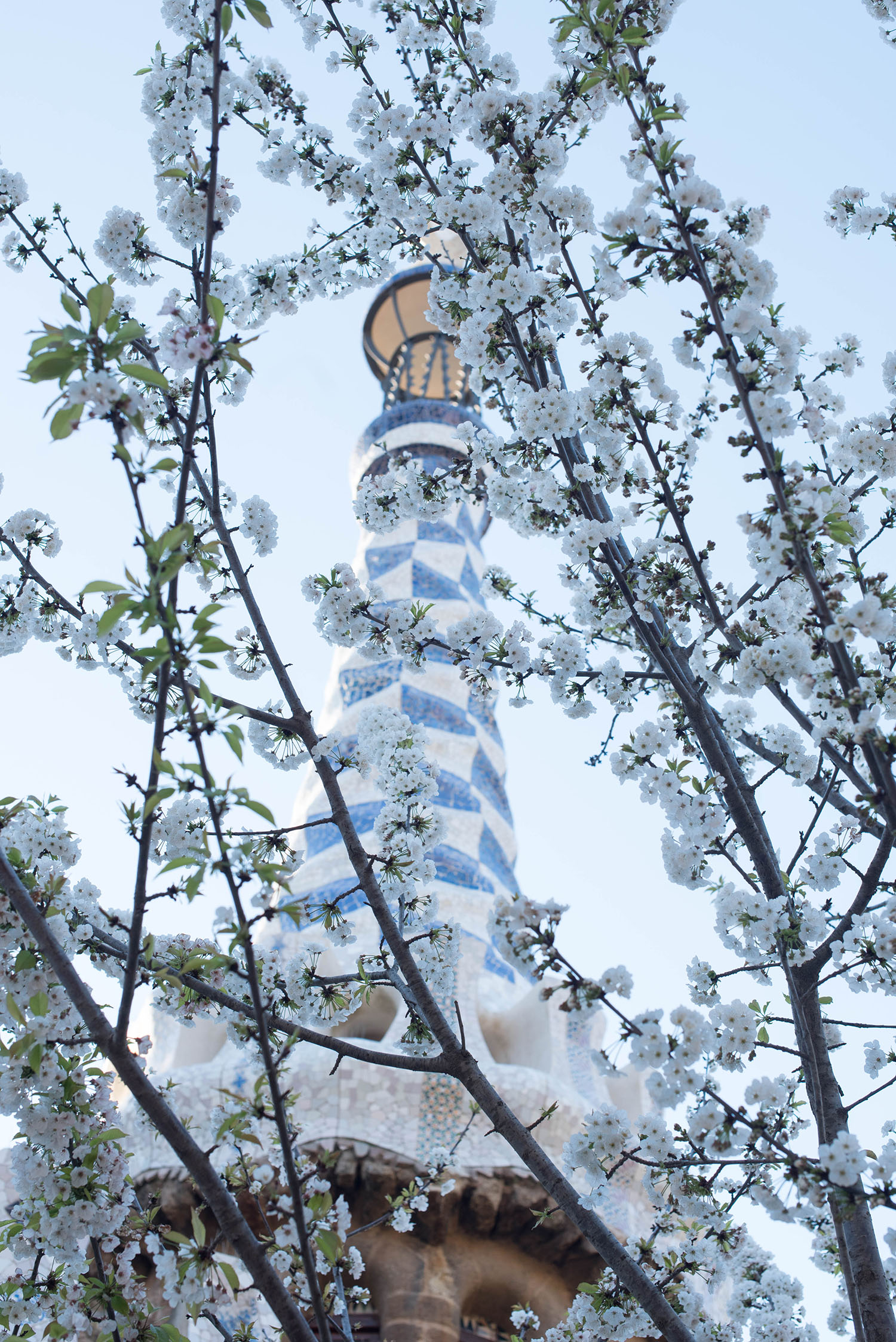 A tiled tower in Parc Guell in Barcelona, behind a cherry blossom tree, as captured by travel blogger Cee Fardoe of Coco & Vera