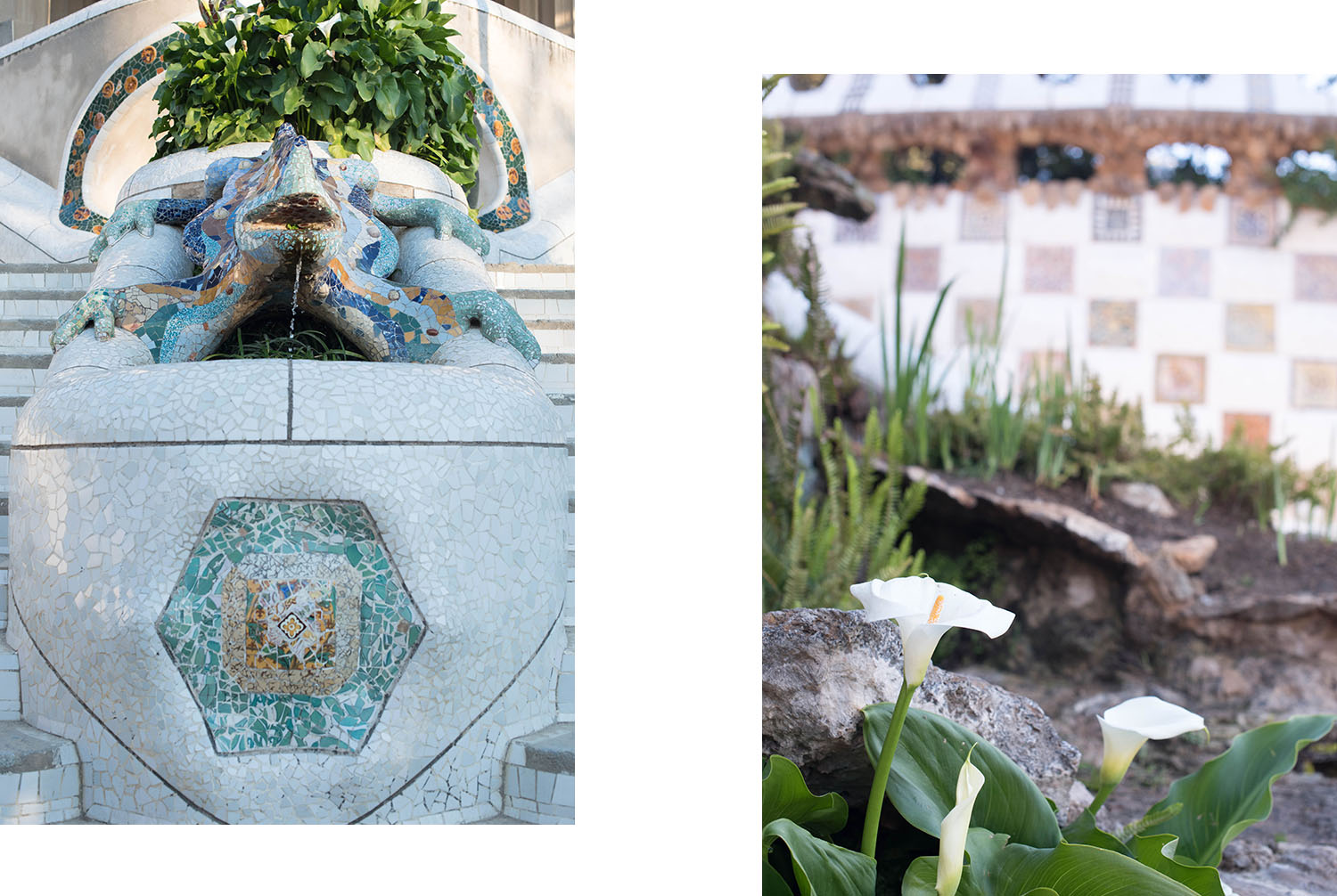 A tile frog fountain and blooming flowers at Parc Guell in Barcelona, captured by top travel blogger Cee Fardoe of Coco & Vera