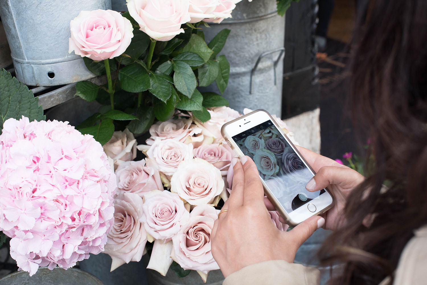 Travel blogger Cee Fardoe of Coco & Vera photographs pink roses at Liberty London on her iPhone six