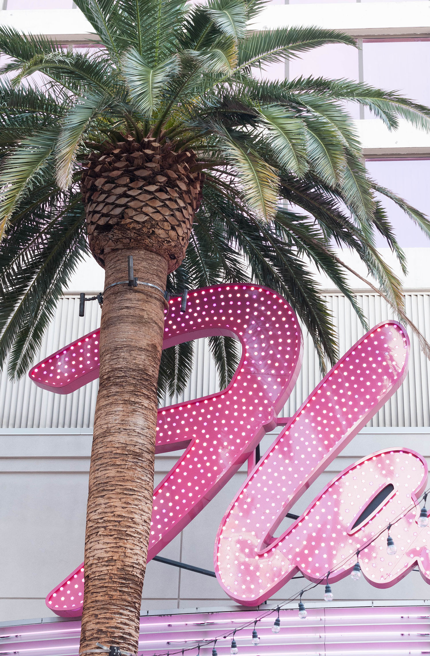 The pink neon sign at the Flamingo Hotel in Las Vegas, as captured by Canadian travel blogger Cee Fardoe of Coco & Vera