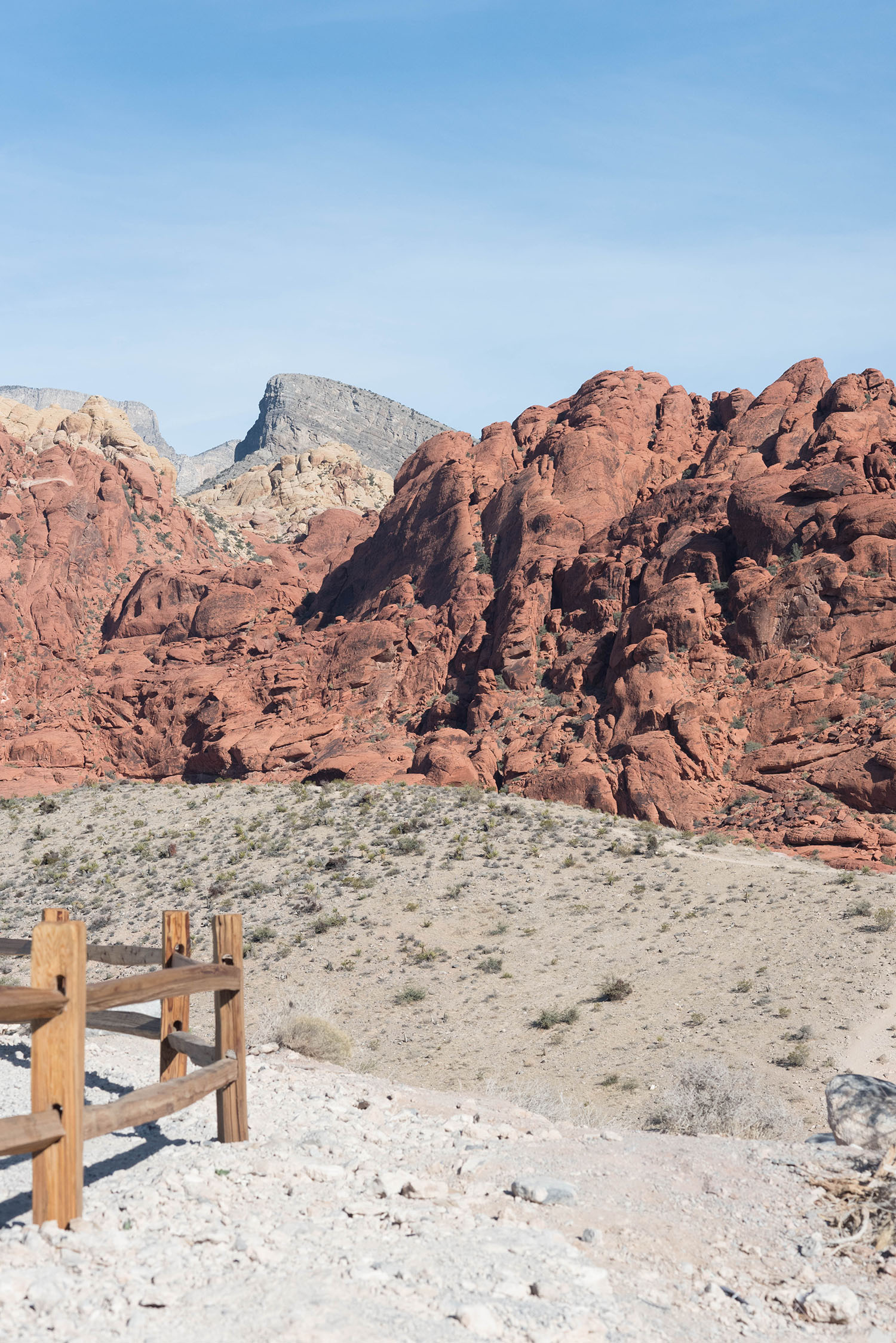 Red hills at Red Rock Canyon National Park, as captured by Canadian travel blogger Cee Fardoe of Coco & Vera