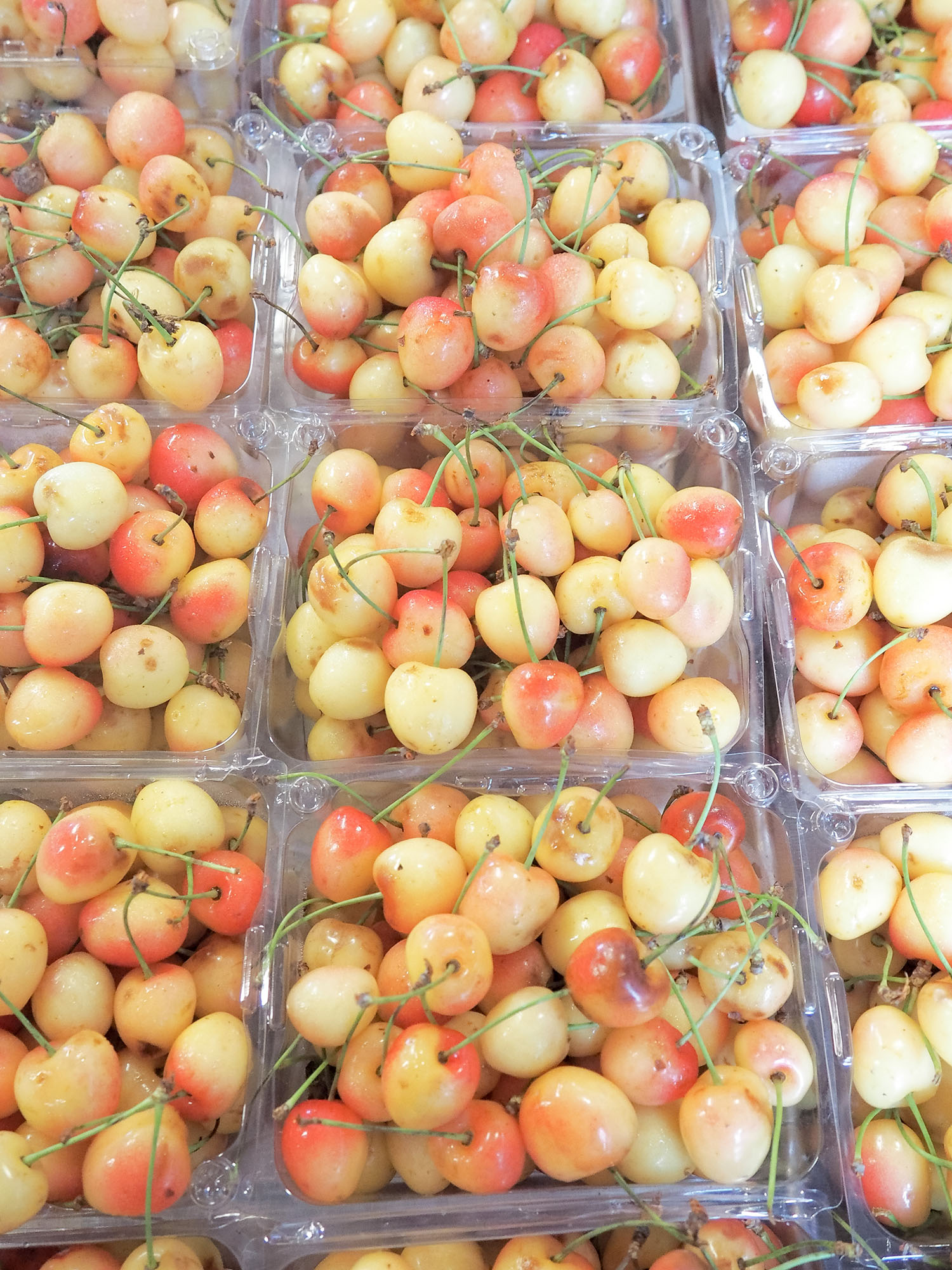 Baskets of cherries at Seaport Farmer's Market in Halifax, Nova Scotia, as captured by top Winnipeg travel blogger Cee Fardoe of Coco & Vera