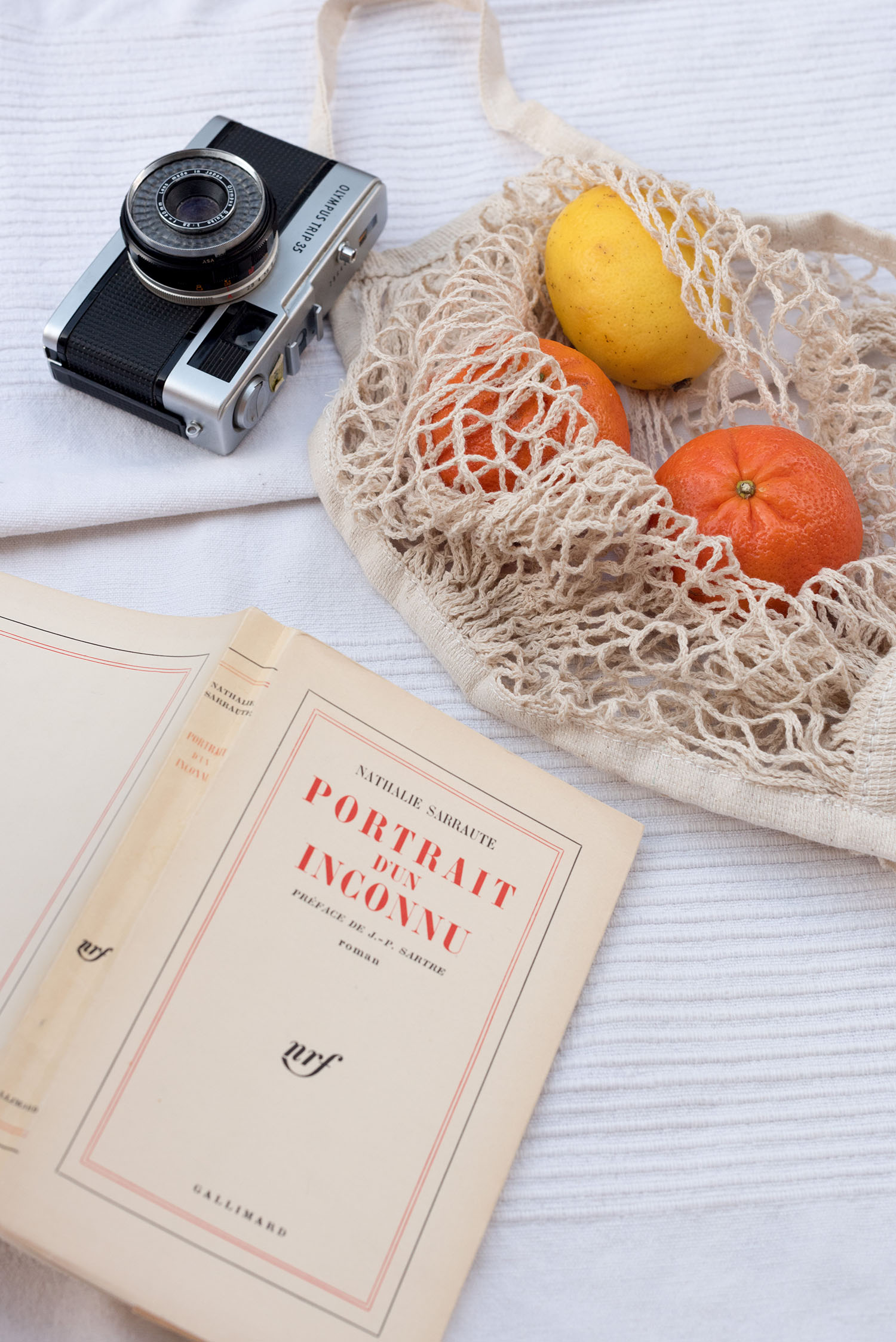 Coco & Vera - Vintage Gallimard novel, Amazon net bag, Olympus Trip camera
