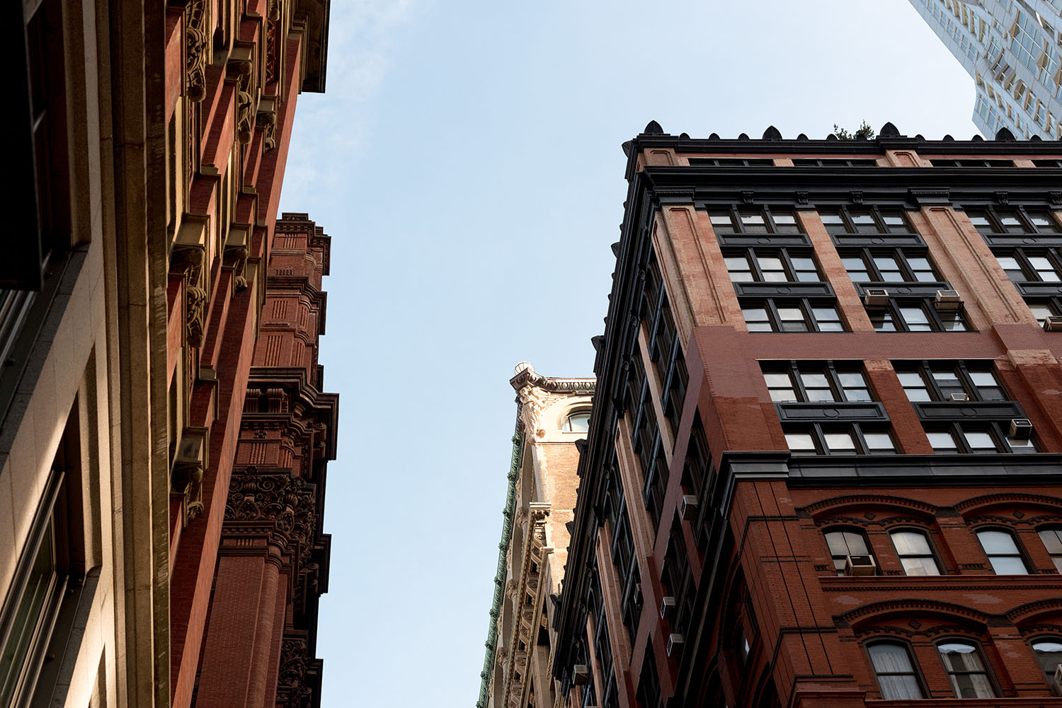 Coco & Vera - Buildings of New York