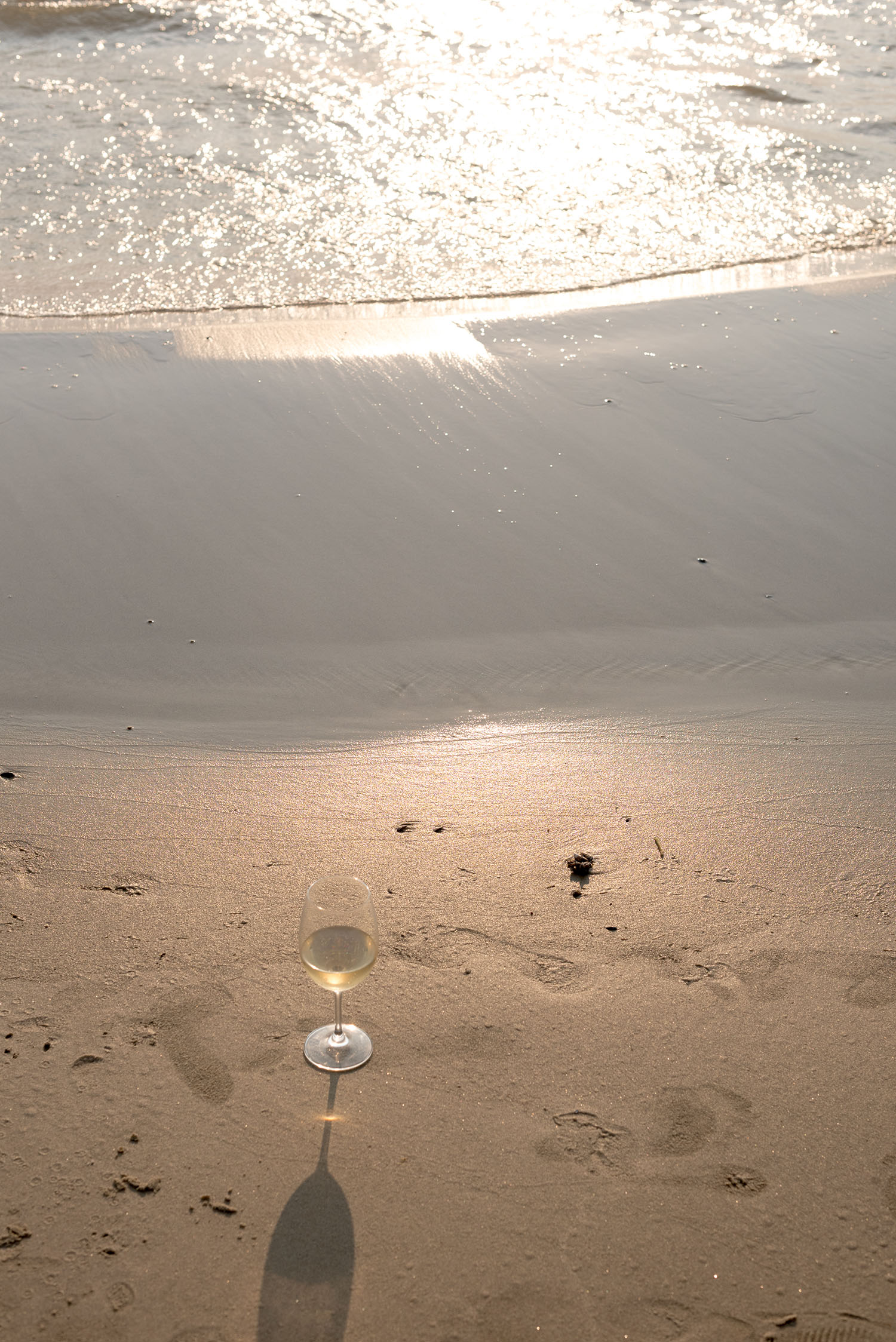 Coco & Vera - White wine on the beach