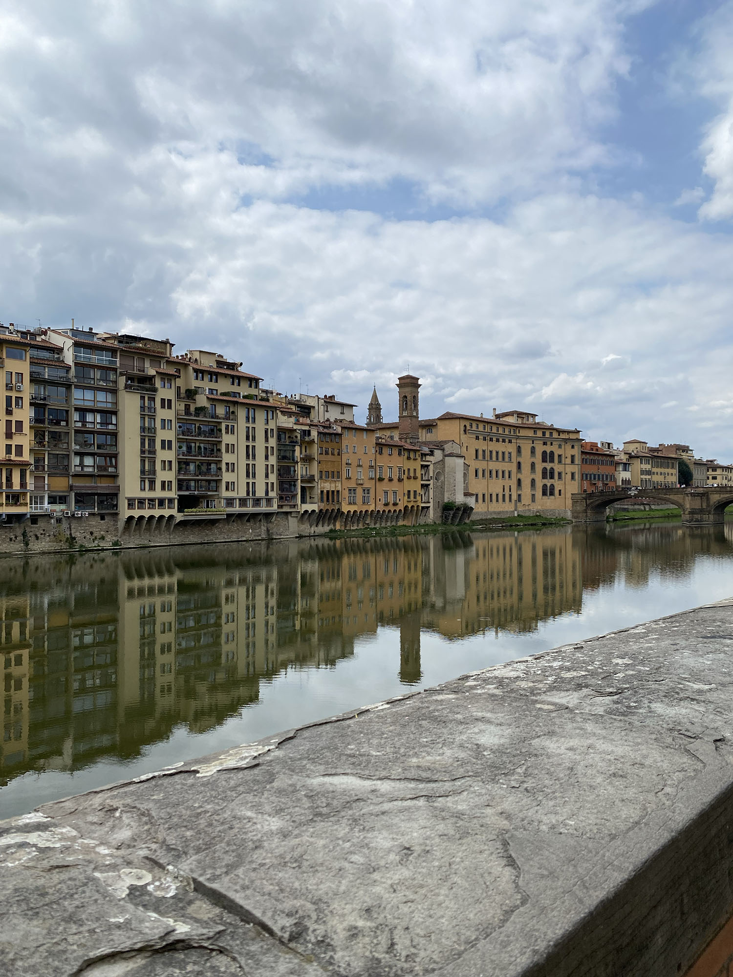 Coco & Vera - View of Altarno in Florence, Italy