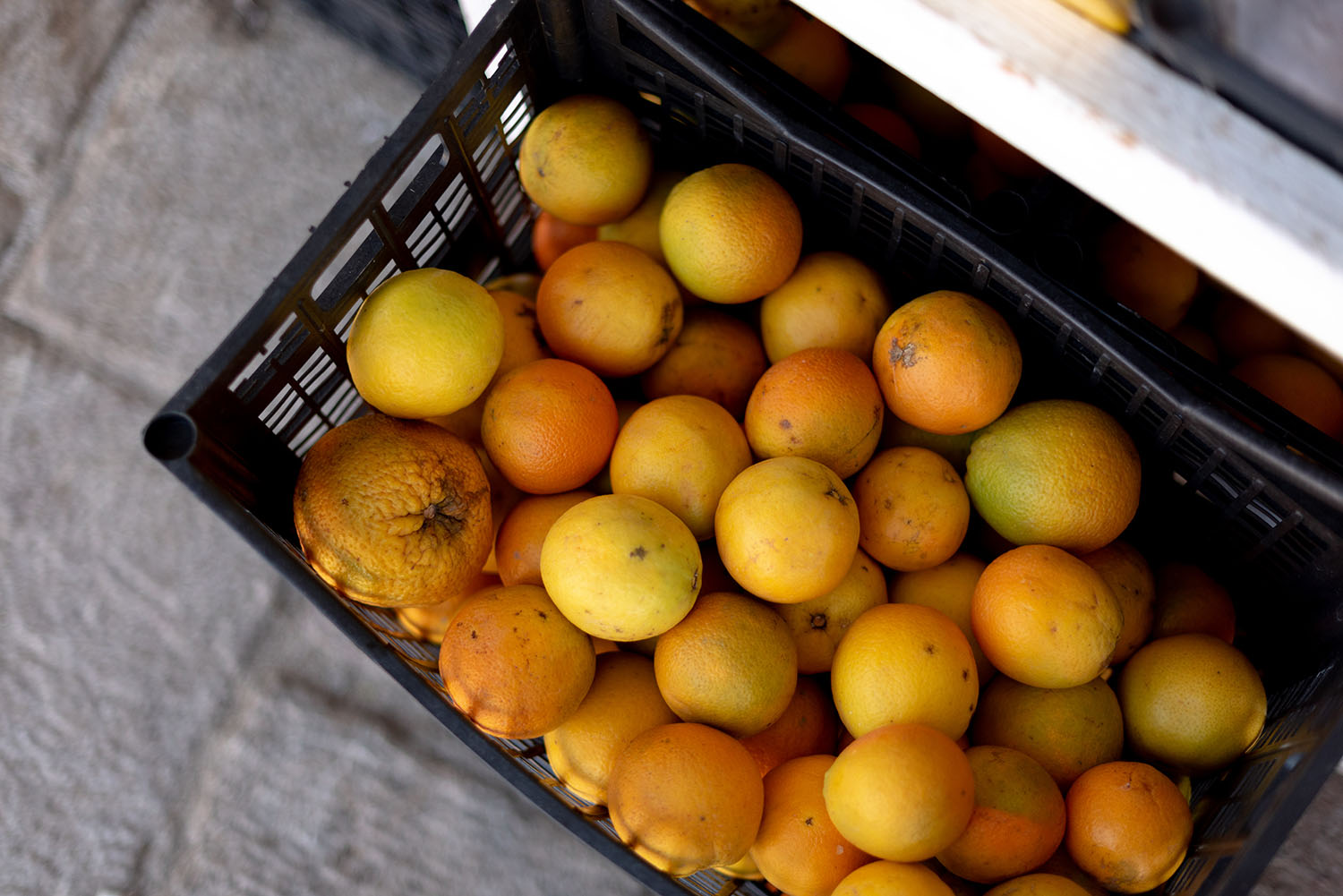 Coco & Vera - A crate of fresh oranges for sale in Hydra Town in the Saronic Islands