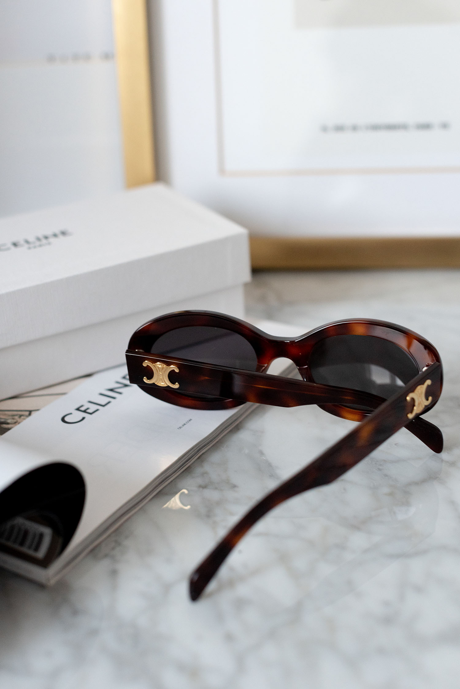 Celine Triomphe 01 Sunglasses