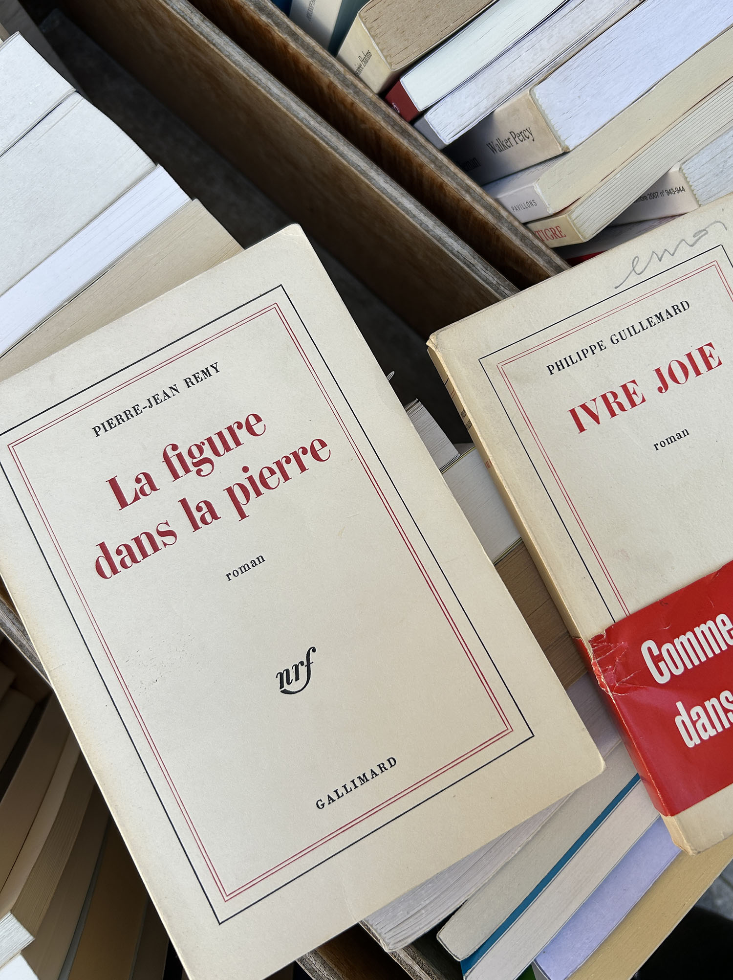 Coco & Voltaire - Two vintage Editions Gallimard books at Le Dilettante in Paris, France