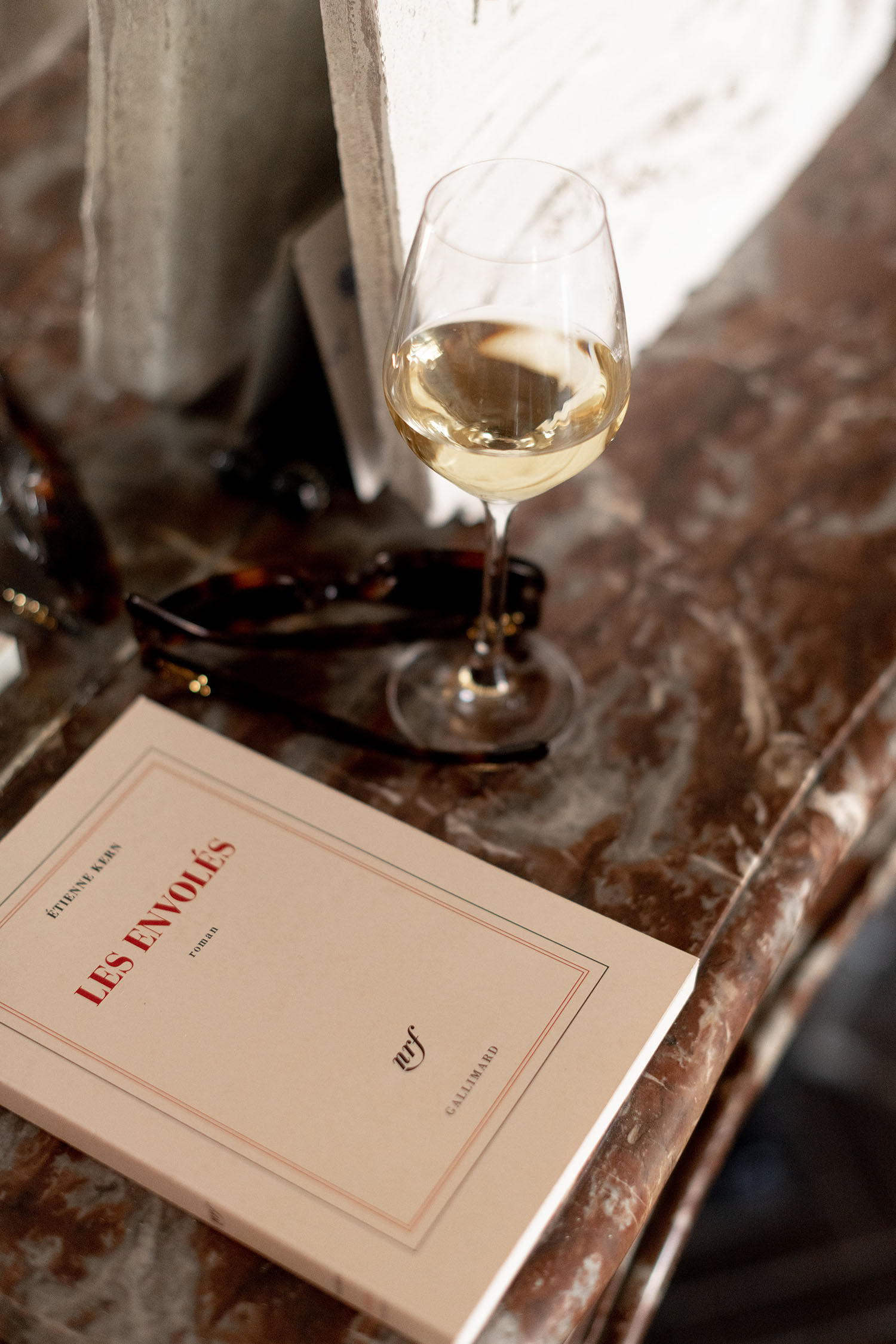 Coco & Voltaire - Les Envoles, roman d'Etienne Kern, avec verre de vin blanc