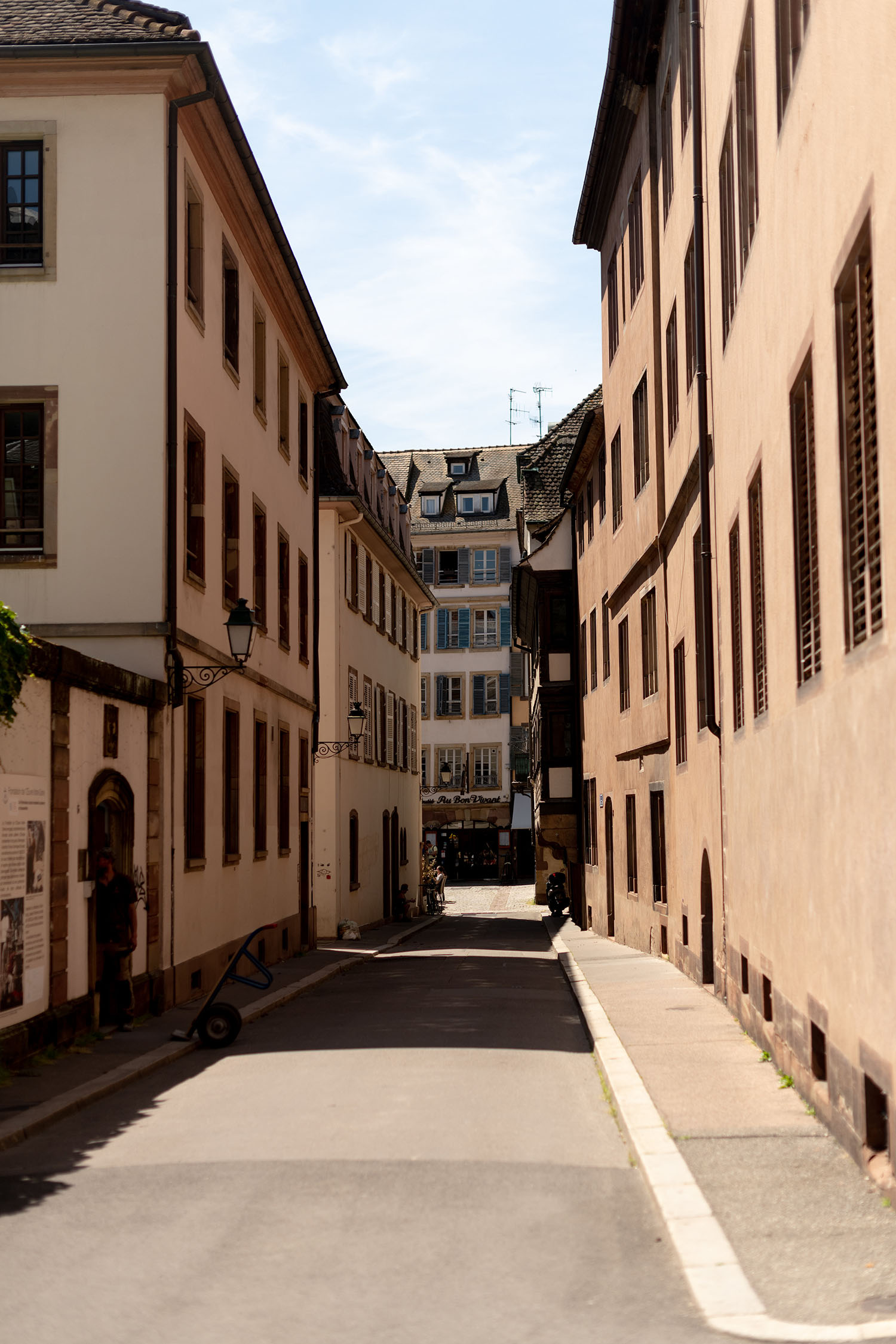 Coco & Voltaire - Sunny street in Strasbourg old town